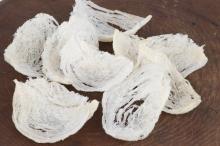  Bird   Nest  100% Natural