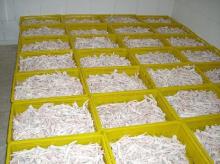 Halal Fresh  Frozen   Processed   Chicken  Feet for sale