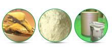 natural antioxidant 98% resveratrol giant knotweed extract