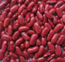  Dark   Red   Kidney   Bean 