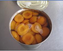canned apricot first quality made in China