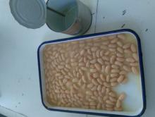 white kidney bean good quality for sale