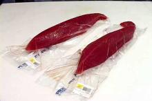 Yellow Fin Skipjack Tuna (BQF) for sale