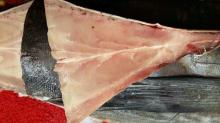  Frozen  Yellow Fin Tuna Whole/Gilled and Gutted (20kg Up) for sale