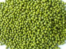  Mung   bean s