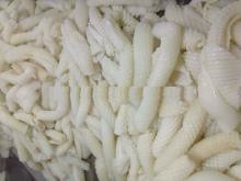  Frozen   Squid   Flower  (Todarodes Pacificus) for sale