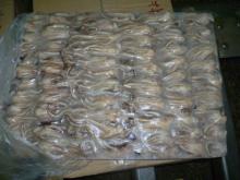 Frozen Giant Squid Tentacle (Illex Argentinus) for sale