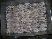 Frozen Giant Peru  Squid  Tentacle (Illex Argentinus) for sale