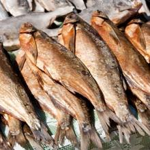 100% Quality Dried Bonito Powder Pack Dried Stockfish for Sale