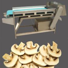 500kg/h Commercial Mushroom Slicer-Automatic