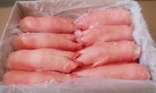 Halal Frozen Pig trotters, Pork Feet and Halal Frozen Pig Feet for sale