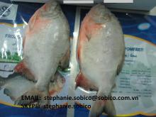 RED POMFRET fish (Colossoma brachypomum) WHOLE ROUND/WHOLE CLEANED