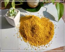 China Fresh Rape Bee  Pollen  In  Bulk  Packing Supply