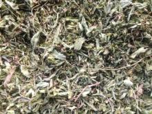 Stevia Leaves Dry