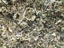  Stevia  Leaves  Dry 