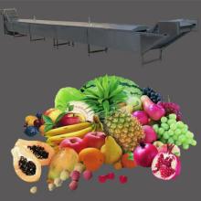 Vegetable  Pasteurizing  Machine