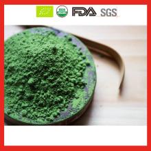 USDA ceremony matcha grade whole sale
