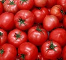 Offer Tomato Extract OF SALE