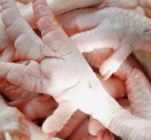 Grade A Processed Halal Chicken Feet And Paws