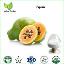 papain,papain powder,price papain,papain extract,papain enzyme,papaya extract
