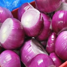 Fresh Red and Yellow Onion