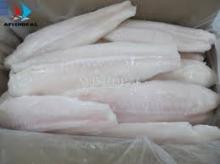 Frozen  oil   fish  fillets
