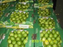 Fresh Lemon