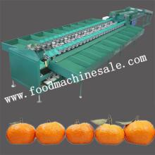 Double Line Fruit Sorting Machine