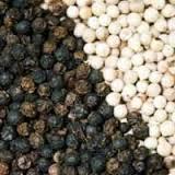 Black Pepper / White Peppe