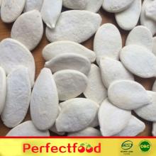 Roasted and salted pumpkin seeds