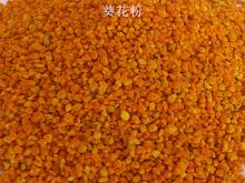 Professional Supplier China Sunflower Bee Pollen