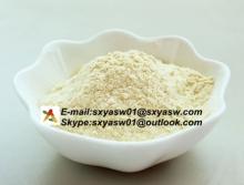 Natural Ginseng Extract Panax Ginseng Extract 80% Ginsenoside