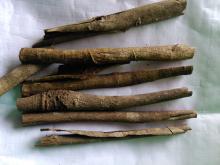 Cinnamon / Dalchini