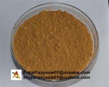 2.5% Triterpenoid Saponin Black Cohosh Extract