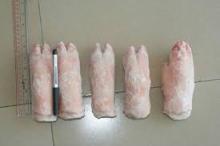 Frozen  Pork   Front  and  Hind   Feet 
