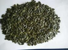 pumokin seed kernels