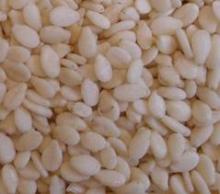 Sesame and Moringa seeds Available