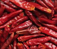 wholesale dried chilli pepper