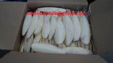 Dried Cuttle Fish Bone