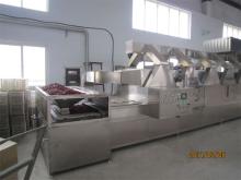 Microwave Food Drying Oven
