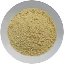  Dried   ginger   powder 