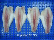 Frozen Pangasius Untrimmed Fillet