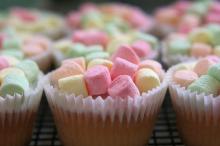 Carton  Marshmallow /Starch  Marshmallow   machine 
