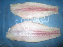  PANGASIUS /  BASA  untrimmed origin Vietnam