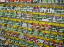 Vegetable Seed