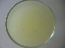 Aloe vera puree
