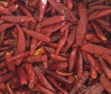 Air Dried Chilli Pepper Red Chilli Pepper without Stem