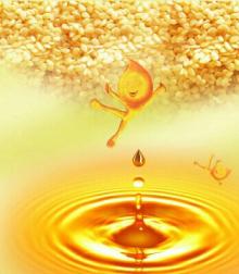  Organic   Sesame   Oil 