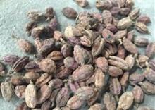  BLACK   CARDAMOM 