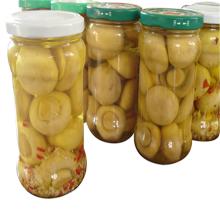 Cooked  Canned   Whole  Mushroom with different mushroom can sizes
